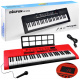 Organ with microphone 61 keys IN0140