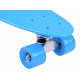 FISZKA colour skateboard SP0575