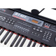 Organ with microphone 328-06 61 keys IN0082