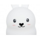 Remote control night light bunny ISO
