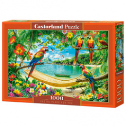 1000-piece universal puzzle