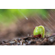 Water mist 11 nozzles,10 m Malatec 18318