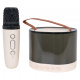 Karaoke Microphone Set + Backlit Speaker