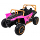 Arctic Cat Buggy Pink