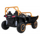 Buggy Arctic Cat Gold