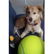 Aga Toy for dogs giant tennis ball XXL 24cm