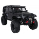 R/C Car WILDERNESS RTR 1:10 Black