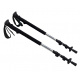 Spartan Trekking poles ALPEN