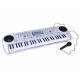 Organ with microphone MQ5407 54 keys IN0116