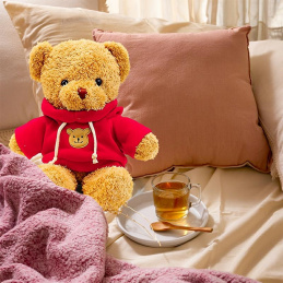 B48C2 PLUSH BEAR 40CM