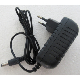 Ragil Charger for Car Batteries 6V 700mA