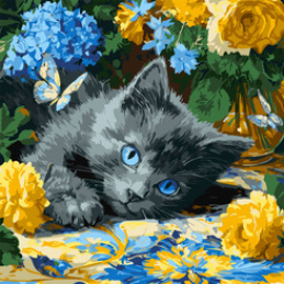 Painting by numbers 40 x 40 cm KHO6795 Blue-eyed kitten AP0098 universal