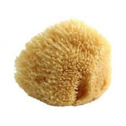 Natural sea sponge POUPY