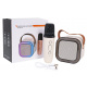 Karaoke Microphone and Speaker Set