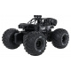 R/C Vehicle LION Black