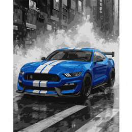 Painting by numbers 40x50 cm Blue racing sports car AP0107 universal