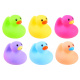 Set of rubber ducks for bathtub ZA3351