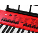 Organ with microphone 61 keys IN0140