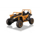 Buggy Arctic Cat Gold