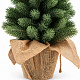Aga Artificial Christmas Tree in a Pot 55 cm