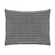 Dehumidifier - moisture absorber for the car