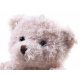 Plush teddy bear plush mascot keychain ZA4404