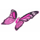 Butterfly Wings Set + Rainbow Dress