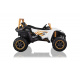 Buggy Vehicle Arctic Cat White