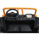 Buggy Arctic Cat Gold
