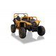 Buggy Arctic Cat Gold