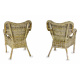 Aga Rattan set CYGNUS