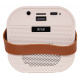 Karaoke Microphone and Speaker Set