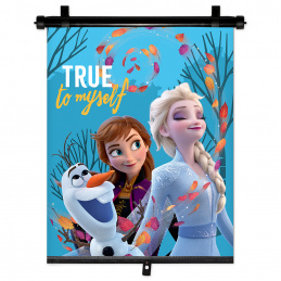 RETRACABLE AUTO SHADE FROZEN