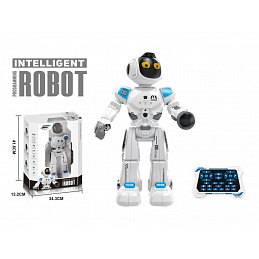 Multifunctional AMSZ Robot with Remote Control