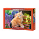 CASTORLAND Puzzle 500 pieces - Ginger Kitten