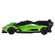 R/C Car 1:24 Lamborghini SC63 Green RASTAR