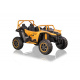 Buggy Arctic Cat Gold