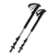 Spartan Trekking poles ALPEN