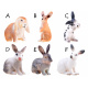 Rabbit figurine 4,5cm ZA3383