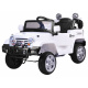 Electric off-road car with remote control PA0111 Green
