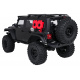 R/C Car WILDERNESS RTR 1:10 Black