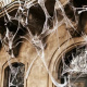 Artificial spider web with spiders white Malatec 19759