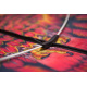 Aga Giant Dragon Eagle 160cm + cord