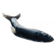 Toy for cats - ISO fish