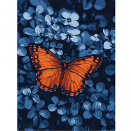 Painting by numbers 30x40cm KHO6733 Light Among Darkness Butterfly AP0072 Universal