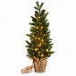 Aga Artificial Christmas Tree in a Pot 70 cm Snow-Covered with LED Lighting