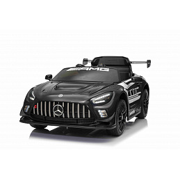 Mercedes AMG GT3 EVO Black Vehicle