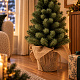 Aga Artificial Christmas Tree in a Pot 55 cm