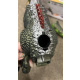Aga4Kids Interactive Dinosaur T-Rex - 2DZ254 - 2. QUALITY
