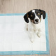 Hygienic pad 60x90cm 50pcs + 2x Purlov bags 21602